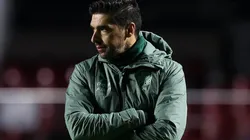 Foto: Flickr Sociedade Esportiva Palmeiras - autor: César Greco