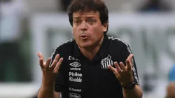 Diniz: pode perder meio-campista (Foto: Ivan Storti/Santos FC/Divulgação)