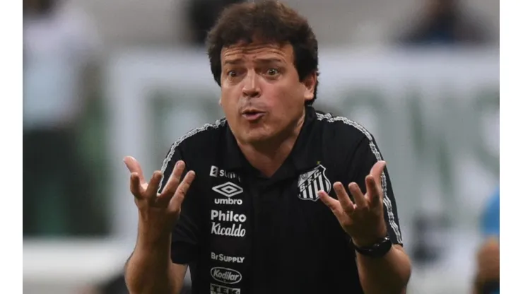 Diniz: pode perder meio-campista (Foto: Ivan Storti/Santos FC/Divulgação)