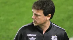 Foto: Fernanda Luz/AGIF