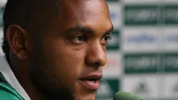 Foto: Flickr Oficial Sociedade Esportiva Palmeiras - autor: