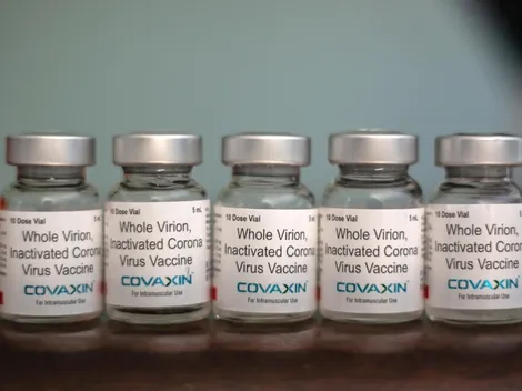 Covid: Anvisa cancela estudo da vacina Covaxin no Brasil