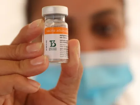 Covid-19: Butantan entrega mais 1 milhão de doses da Coronavac