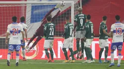 Palmeiras x Universidad Católica, vale vaga nas quartas de final da Libertadores (Foto: Cesar Greco/Palmeiras)