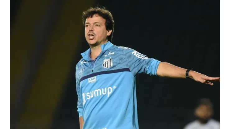 Foto: Ivan Storti/Santos FC