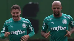 Foto: Flickr Oficial Sociedade Esportiva Palmeiras