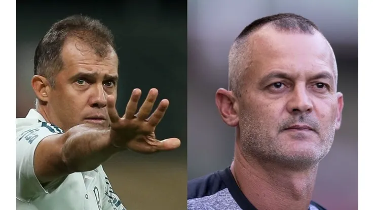 Montagem: fotos de César Greco e Pedro Vale/AGIF