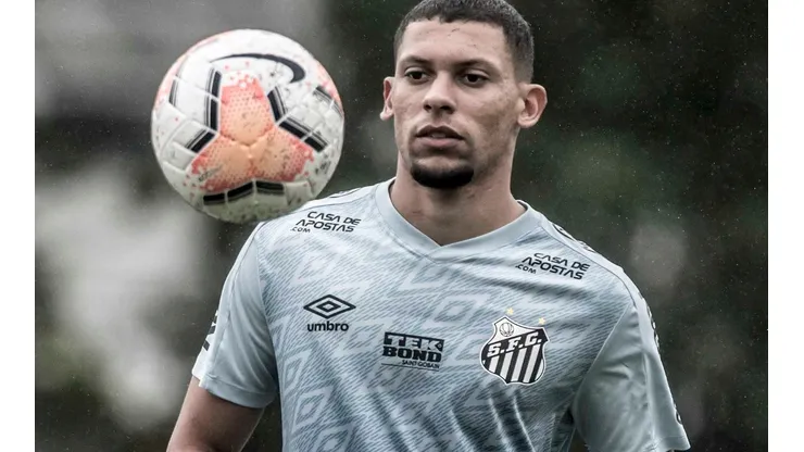 Foto: Ivan Storti/Santos FC