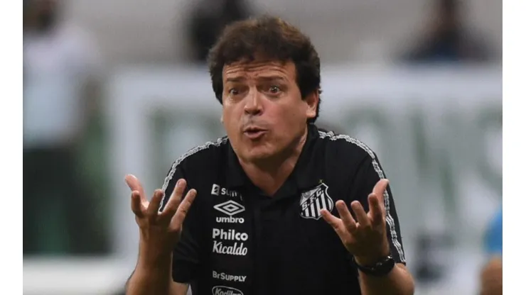 Foto: Ivan Storti/Santos FC