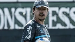 Diniz: dúvidas para a Sul-Americana (Foto: Ivan Storti/Santos FC/Divulgação)