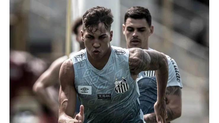Foto: Ivan Storti/ Santos FC