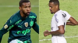 Palmeiras x Santos: Como assistir AO VIVO essa partida da Brasileirão. (Foto: Marcello Zambrana/Fernanda Luz/AGIF)