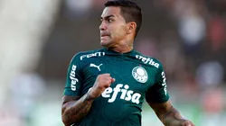 Foto: Thiago Calil/AGIF