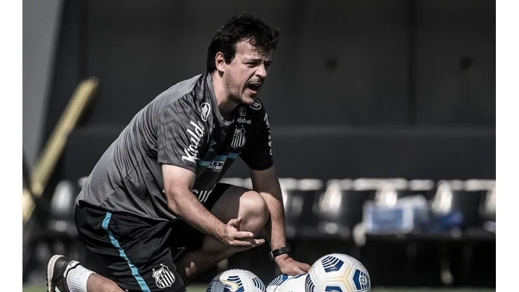 Foto: Ivan Storti/Santos FC
