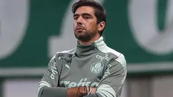 Foto:Flickr Oficial Sociedade Esportiva Palmeiras - autor: Cesar Greco