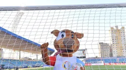 Confira os maiores artilheiros da Copa América