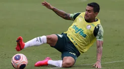 Foto: Cesar Greco/Flickr do Palmeiras/Divulgação