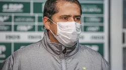 Foto: Divulgação/Coritiba