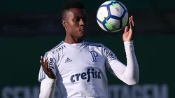 Foto: Flickr Oficial Sociedade Esportiva Palmeiras