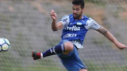 Foto: César Greco/ Palmeiras