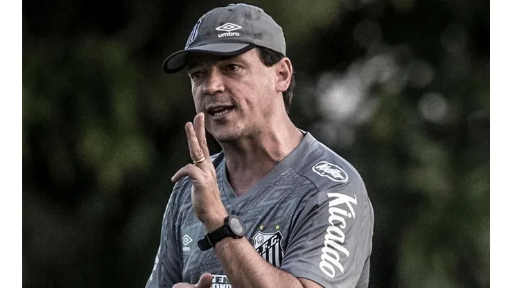 Foto: Ivan Storti/Santos FC/Divulgação