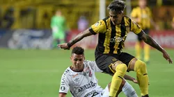 Foto: Sandro Pereyra/Getty Images