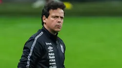 Foto: Pedro H. Tesch/AGIF