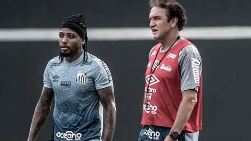 Atlético “esquece” Marinho e Cuca se empolga com zagueiro que pertence ao Santos