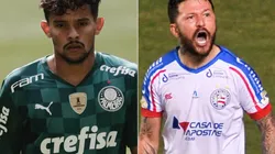Palmeiras x Bahia: Data, hora e canal para assistir esse duelo do Brasileirão: (Foto: Ettore Chiereguini/AGIF / Jhony Pinho/AGIF)
