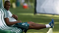 Foto: César Greco/ Palmeiras