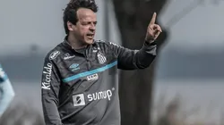 Foto: Ivan Storti/Santos FC