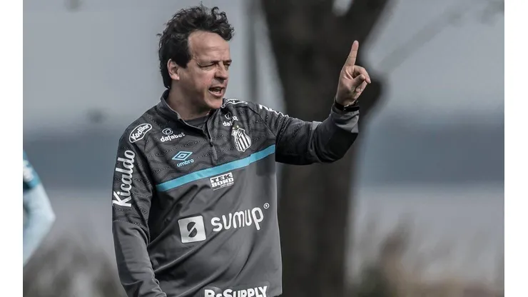 Foto: Ivan Storti/Santos FC