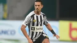 Foto: Flickr Oficial Santos Futebol Clube - autor: Ivan Storti