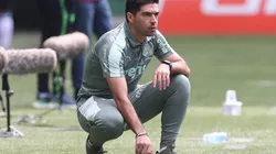 (Foto: Cesar Greco/Palmeiras/Divulgação)