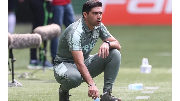 (Foto: Cesar Greco/Palmeiras/Divulgação)