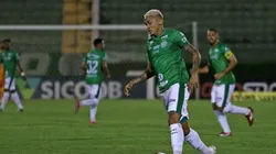 Foto: Thomaz Marostegan/Guarani FC