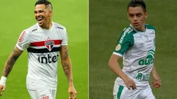 São Paulo x Chapecoense: data, hora e canal para assistir essa partida do Brasileirão