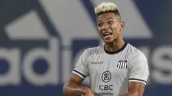 Foto: Daniel Jayo/Getty Images