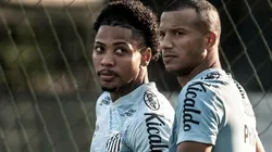 Foto: Flickr Oficial Santos Futebol Clube - autor: Ivan Storti