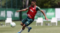 Foto: César Greco/ Palmeiras