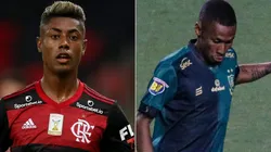 Flamengo e América-MG se enfrentam neste domingo (Foto: Getty Images e Fernando Moreno/AGIF)