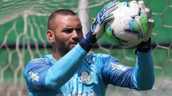 Foto: Flickr Oficial Sociedade Esportiva Palmeiras - autor: César Greco