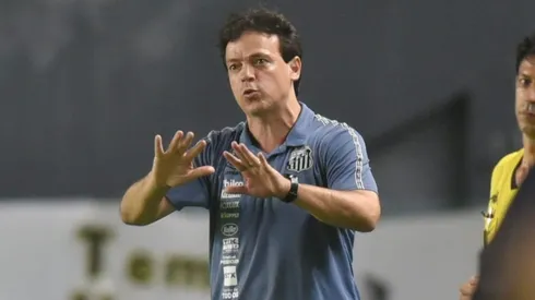 Foto: Ivan Storti/Santos FC