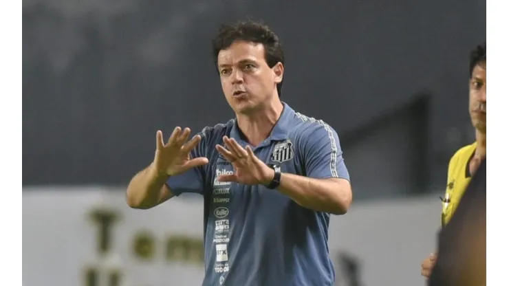 Foto: Ivan Storti/Santos FC