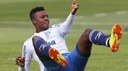 Foto: César Greco/ Palmeiras