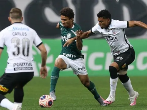 Com alta no patrimônio geral, Gato Mestre analisa cenário rumo à rodada 3