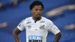 Foto: Ivan Storti/Santos FC