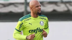 Foto: Flickr Oficial Sociedade Esportiva Palmeiras - autor: César Greco