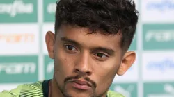 Foto: Flickr Sociedade Esportiva Palmeiras - autor: Cesar Greco