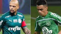 Palmeiras e Chapecoense se enfrentam neste domingo (Foto: Getty Images e Renato Padilha/AGIF)
